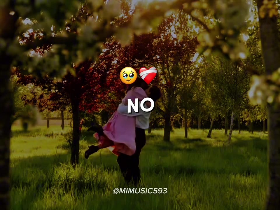 @MiMusic593
