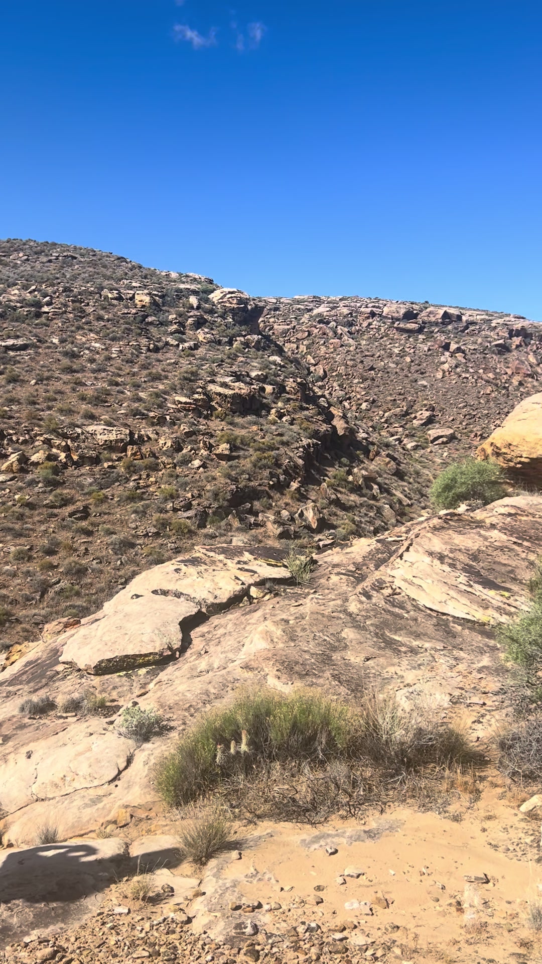 @Wild Fowler 🏔️🥾⛰️