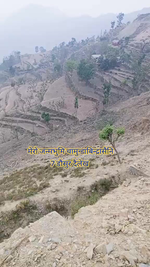 @किरण शाही 431