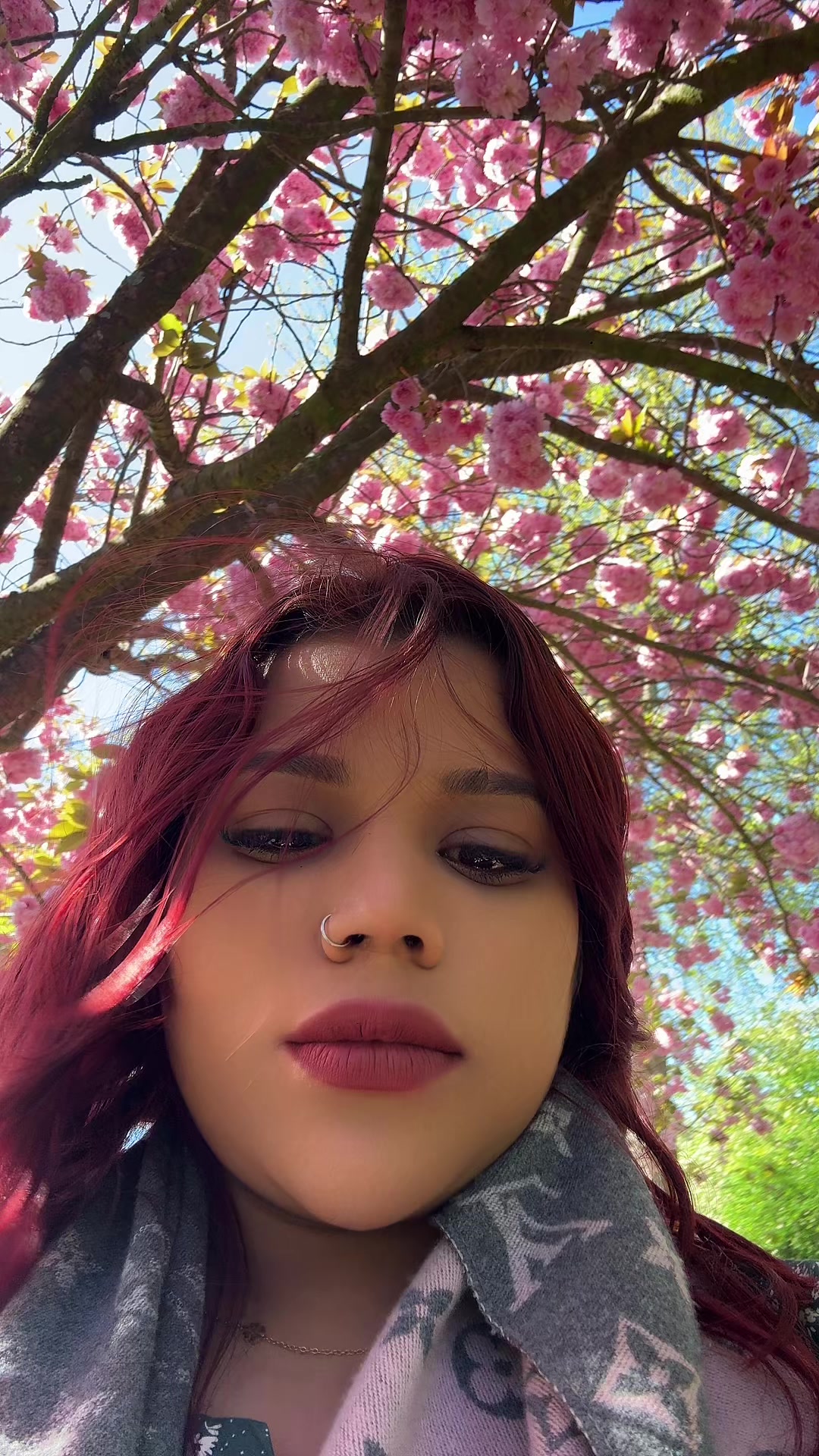 @TosibaBegum