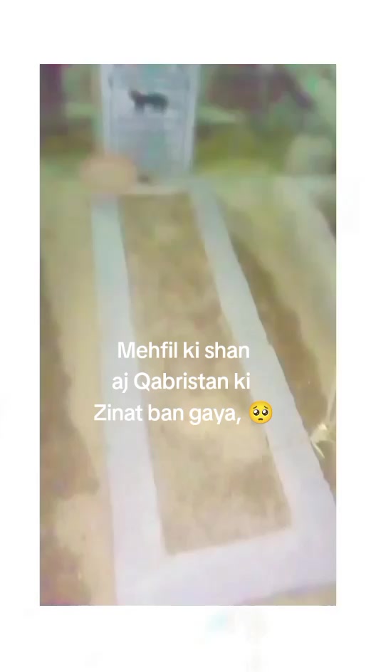 @ShahRukh Ansari