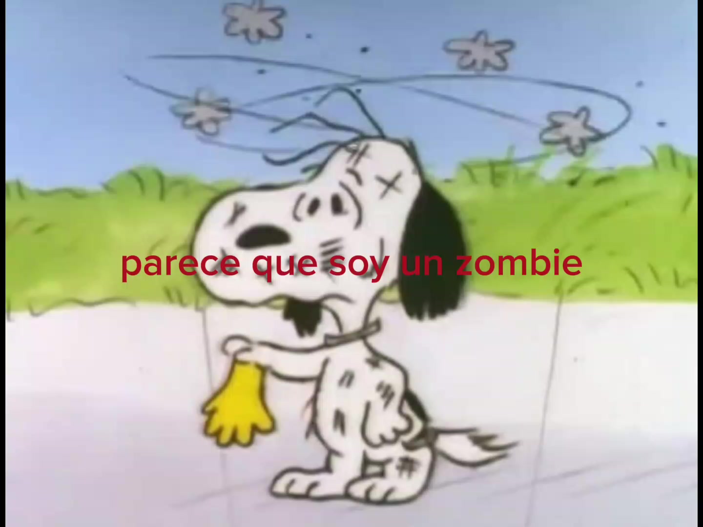 @Sofia_xh