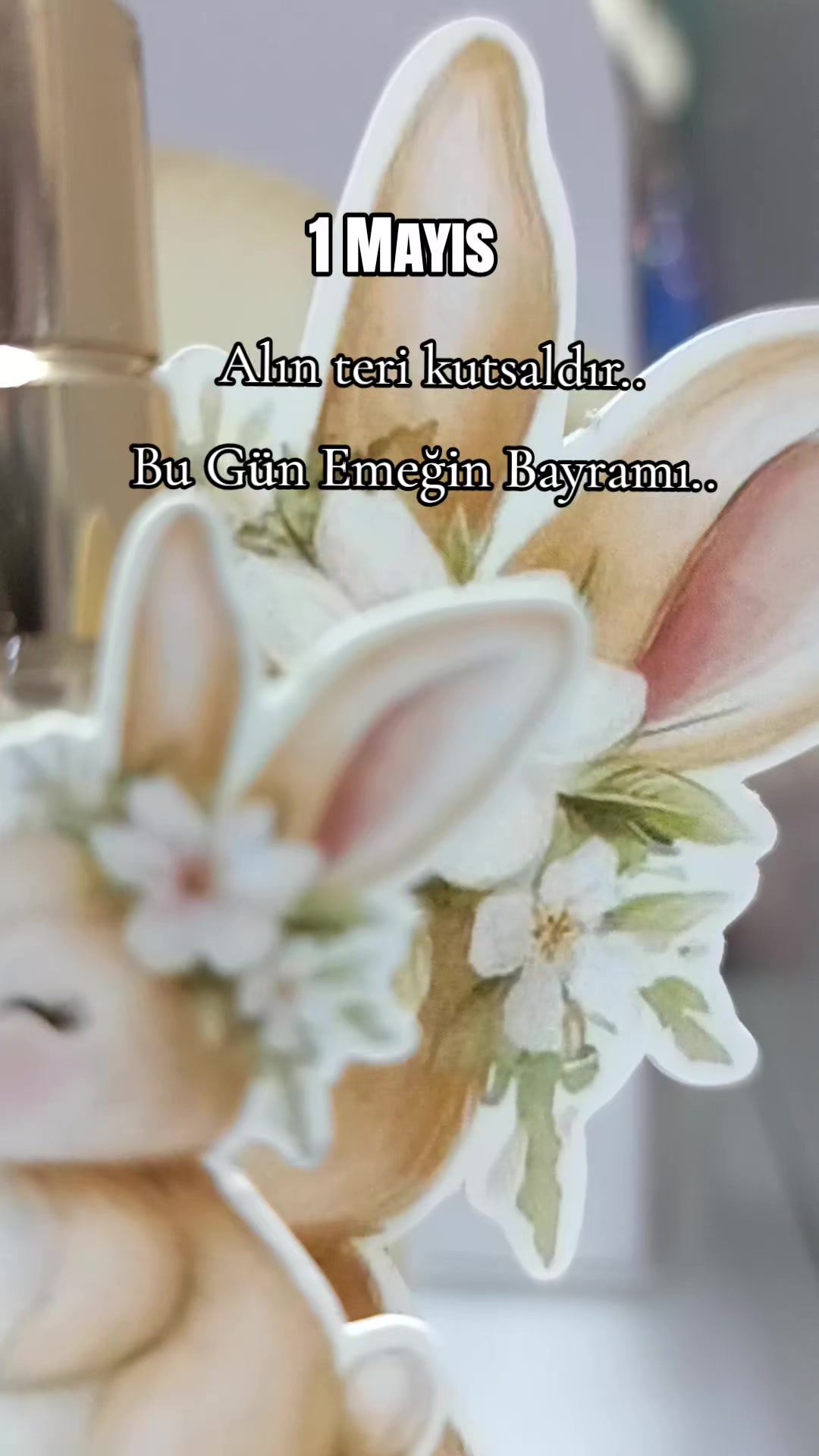 @34Figencetasarım