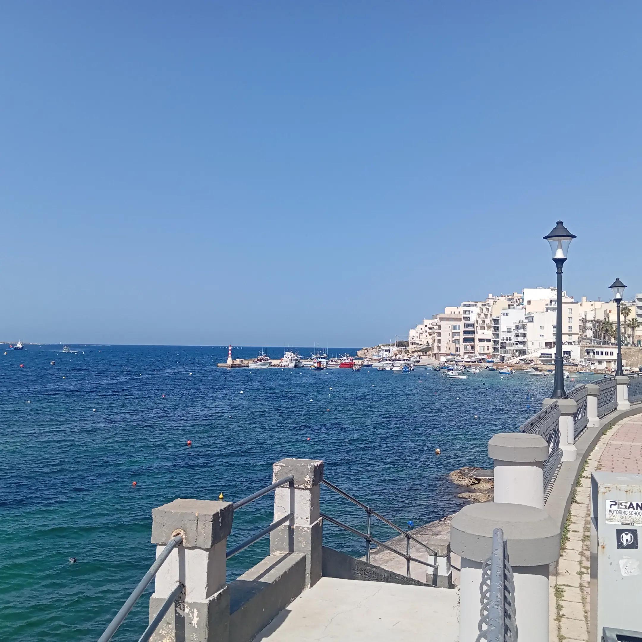 @wild Malta