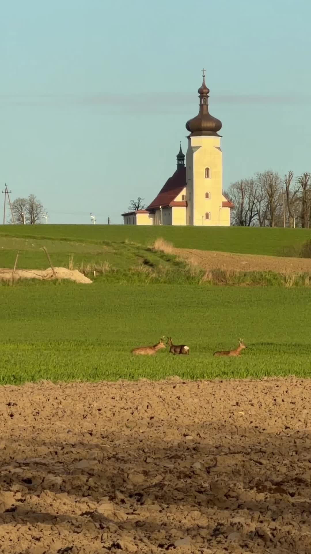 @Tomasz Pestka