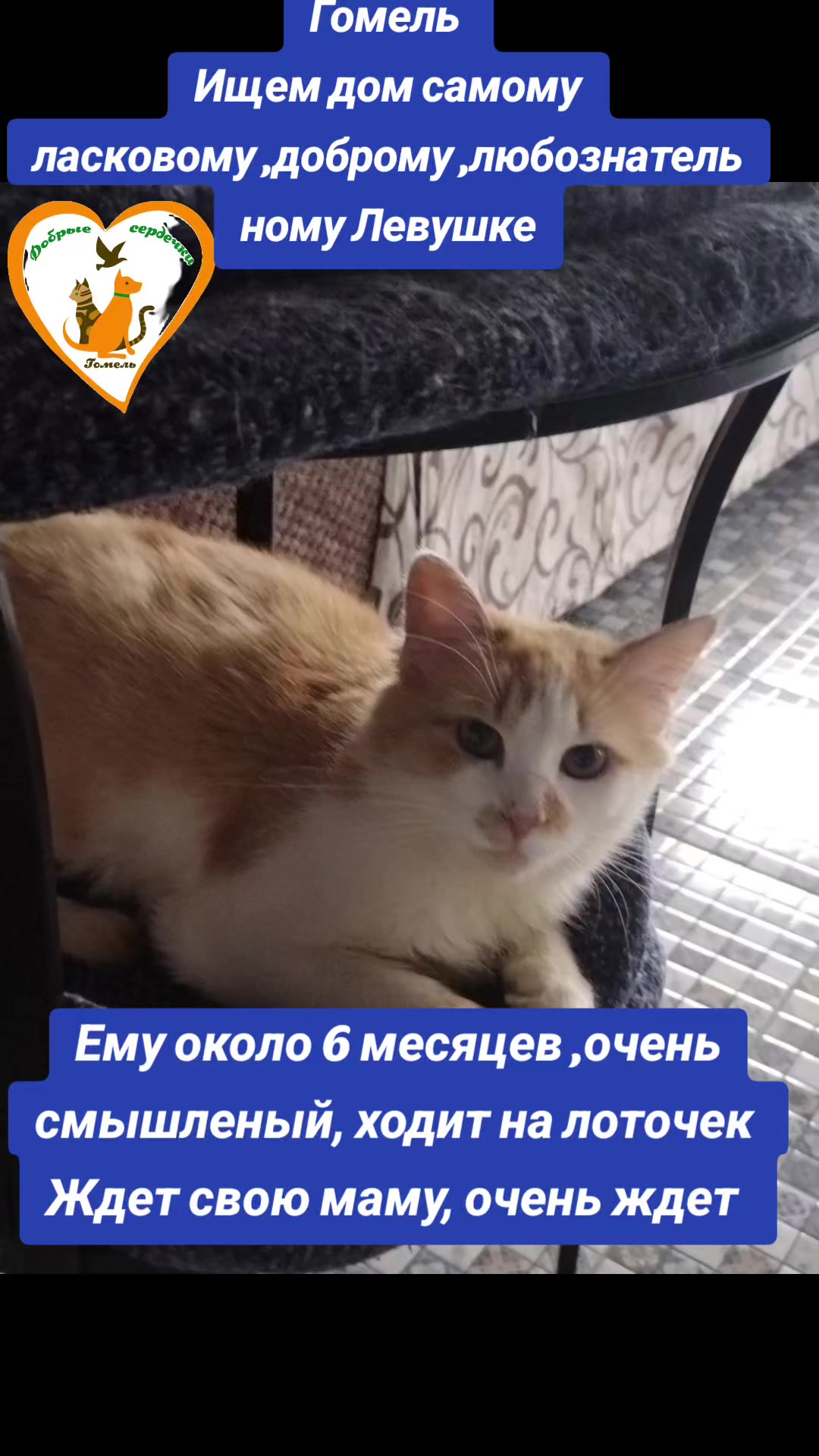 @Марина