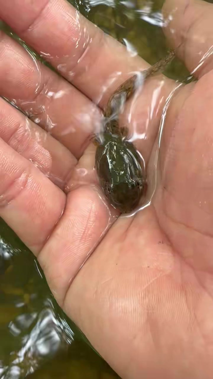 @XxBugManxX