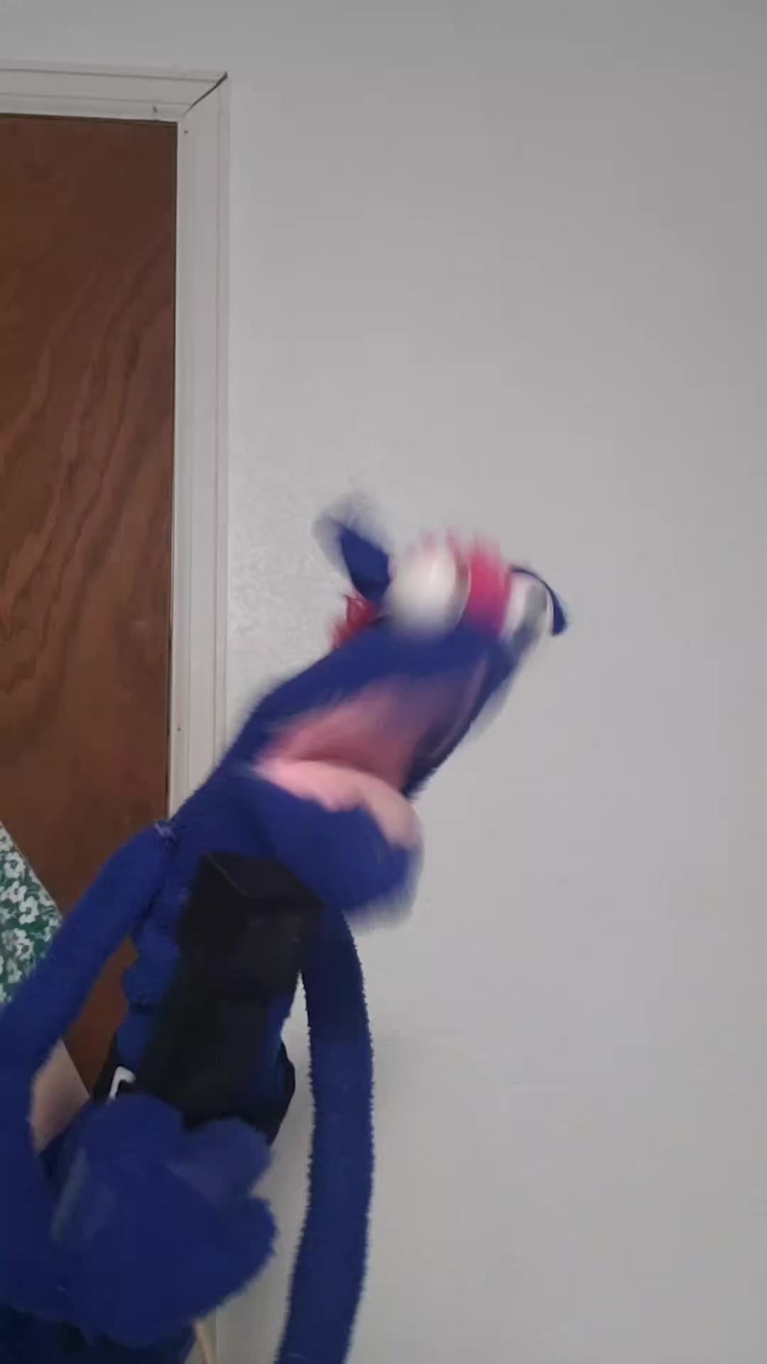 @the3puppet33rs