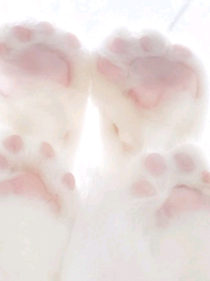 @ᶻ 𝗓 𐰁 ─ .✦ˎˊ˗