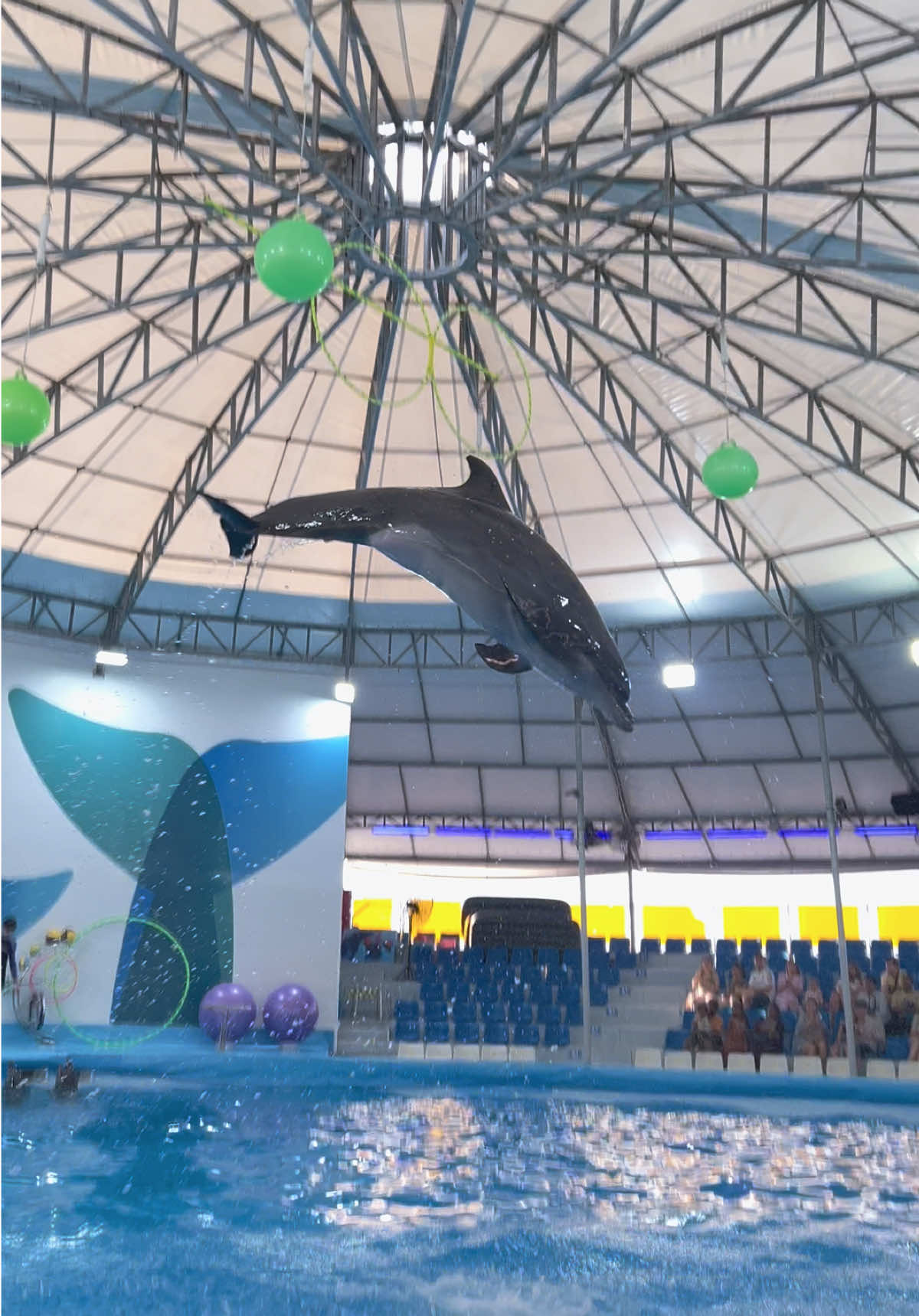 @Pattaya Dolphinarium