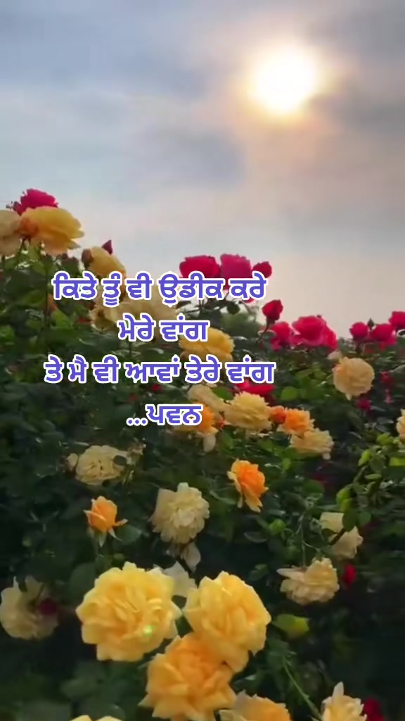 @💔🍂🅟🅐🅦🅐🅝🍁🍃
