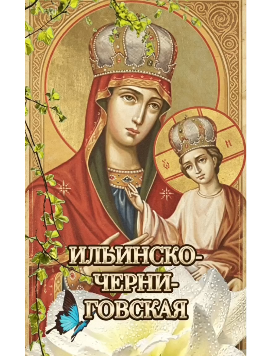 @Светлана(✿◠‿◠)
