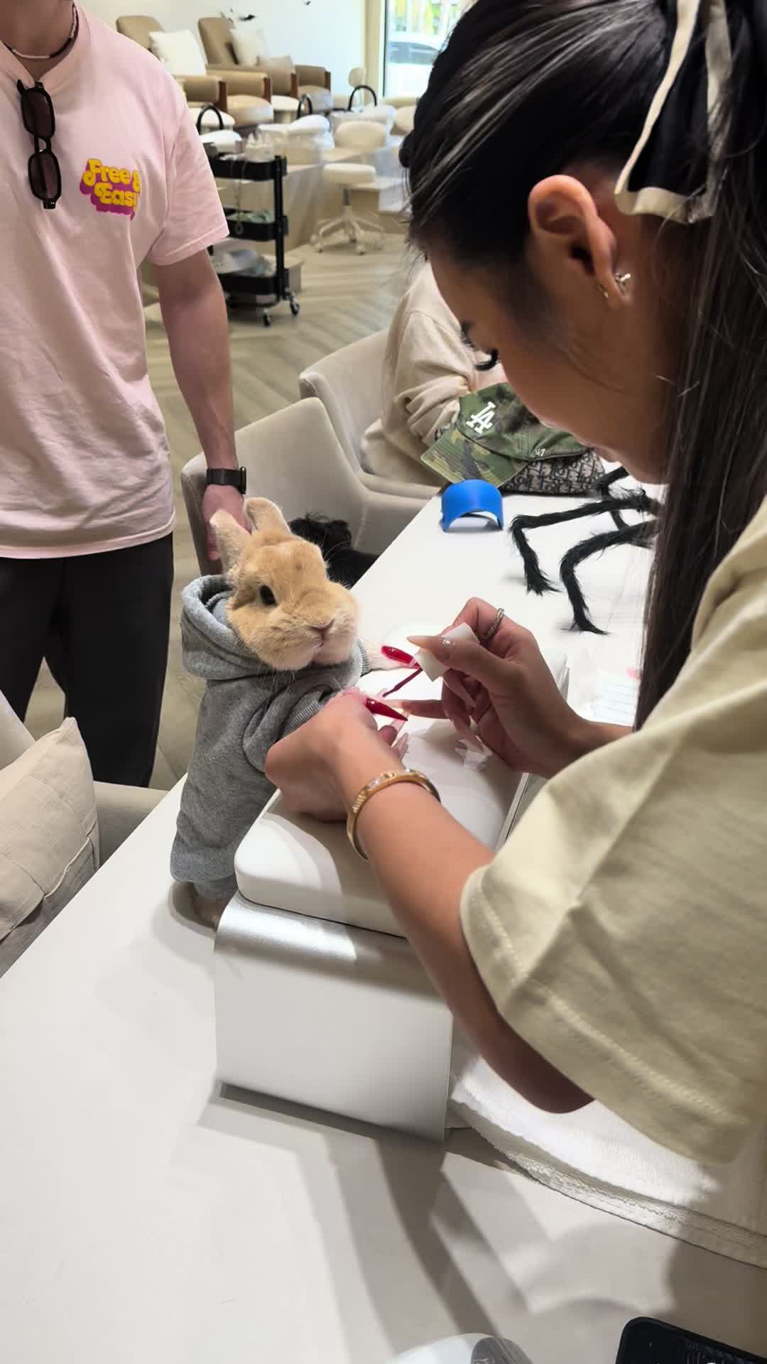 @Bunnydayoff