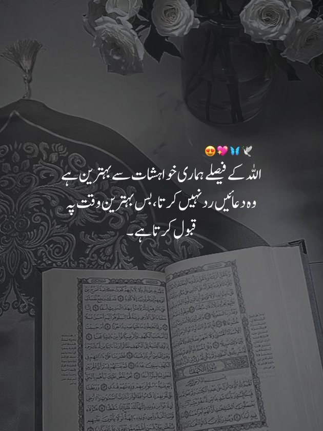 @اقصیٰ 🦋