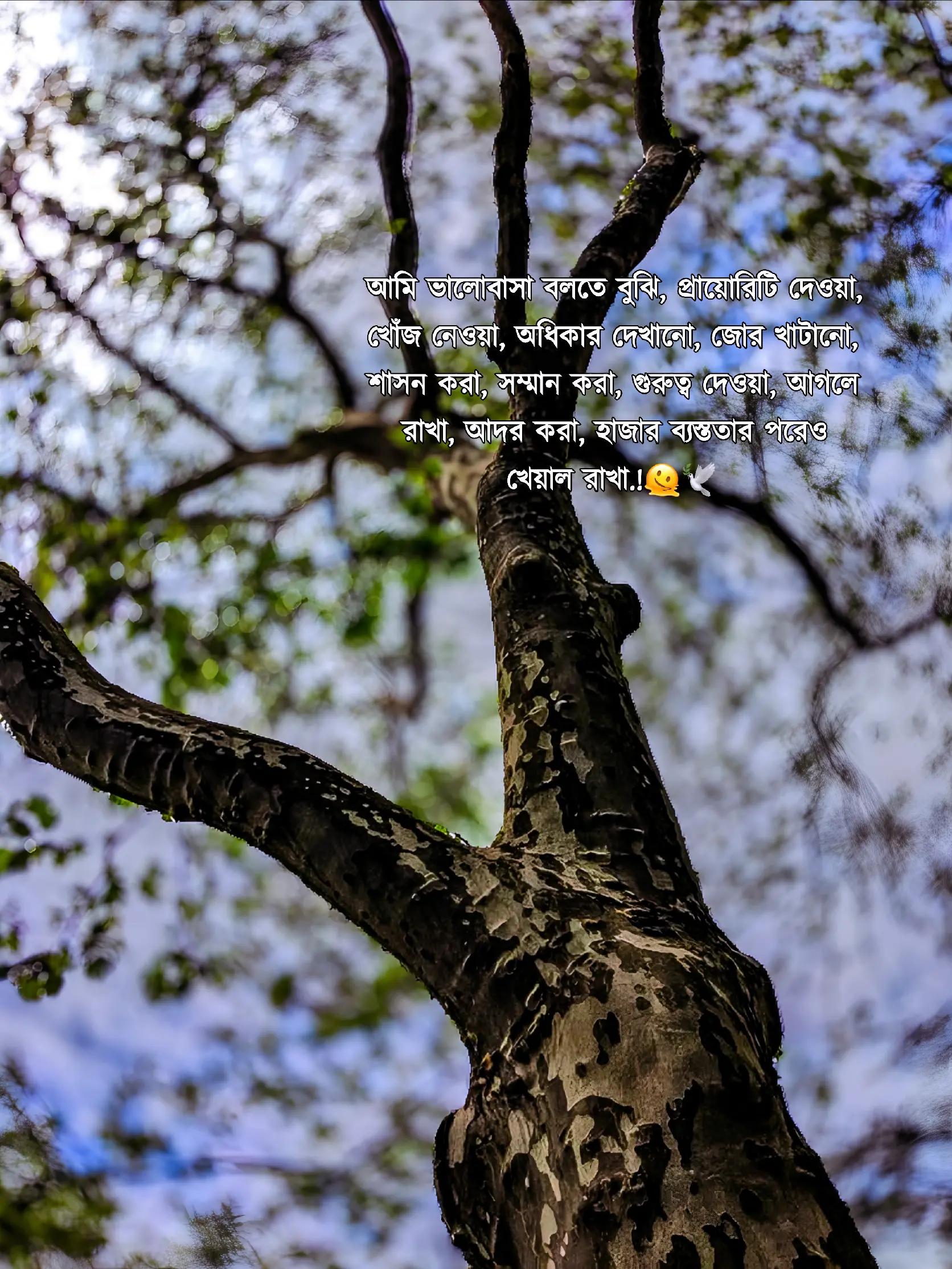 @&mdash;͞ʙᴏsᴏꪀ  !&iexcl;