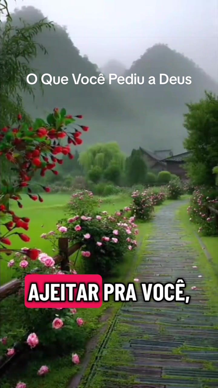 @Abel  Muhl Duarte