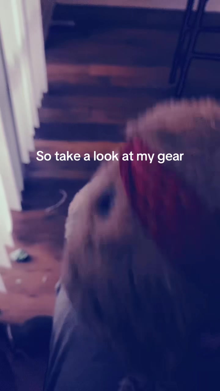 @SilverFangz