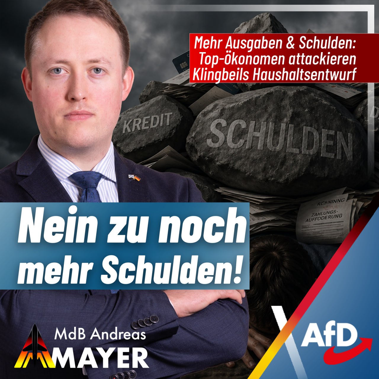 @Andreas Mayer / AfD Bayern