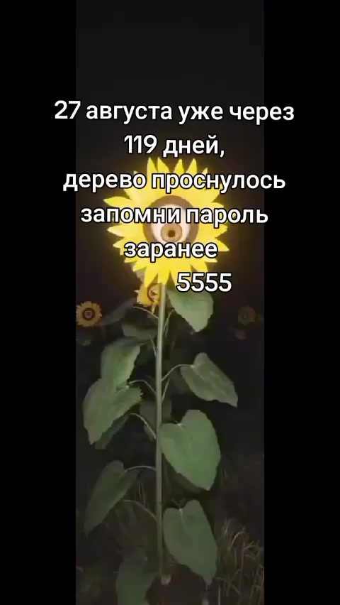 @Тоня~🌺