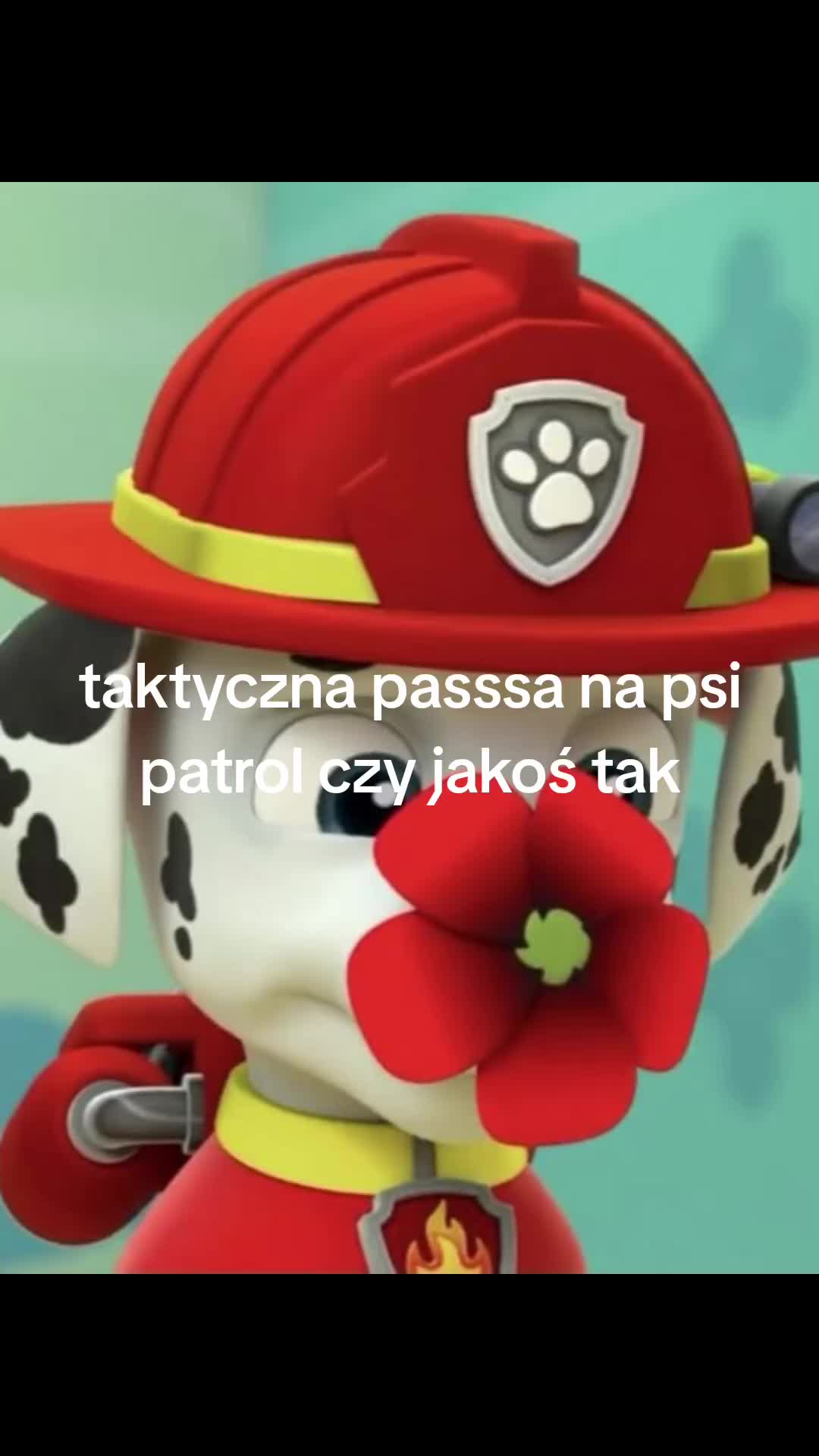 @★🩺🩹na sygnalka ♥️💉★