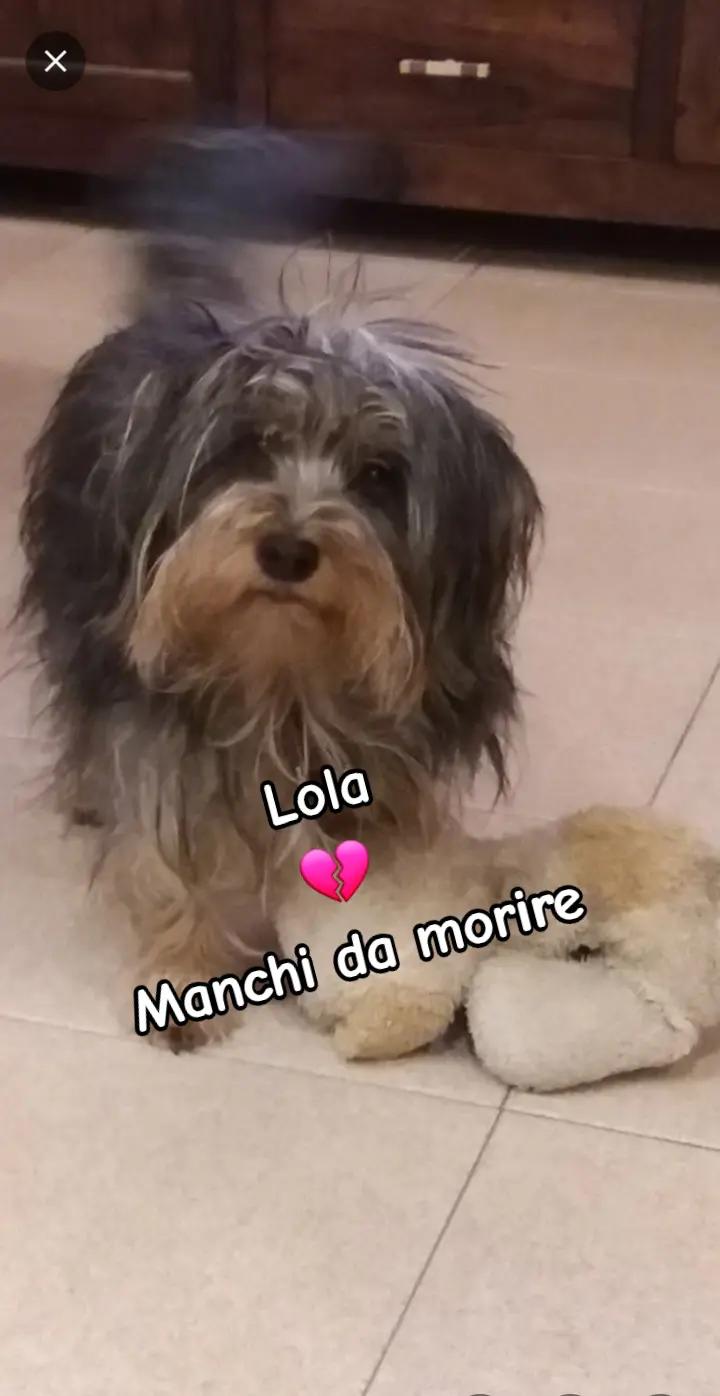 @Tiziana