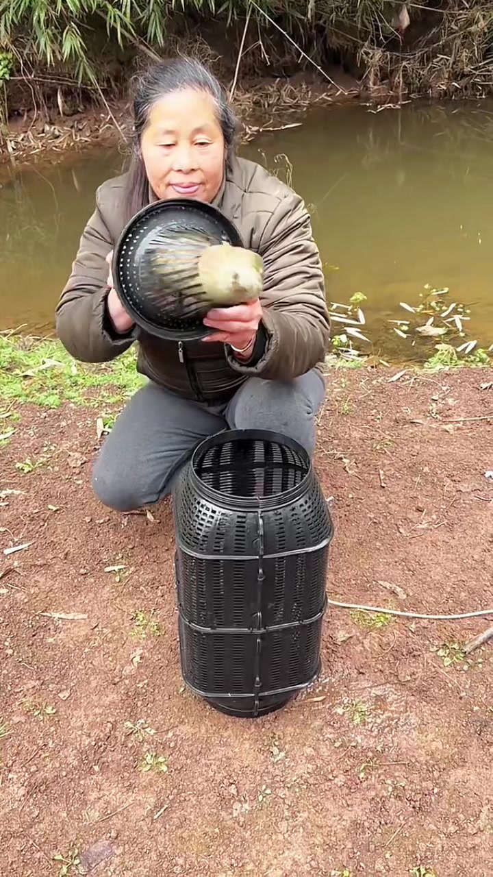 @Fishing King