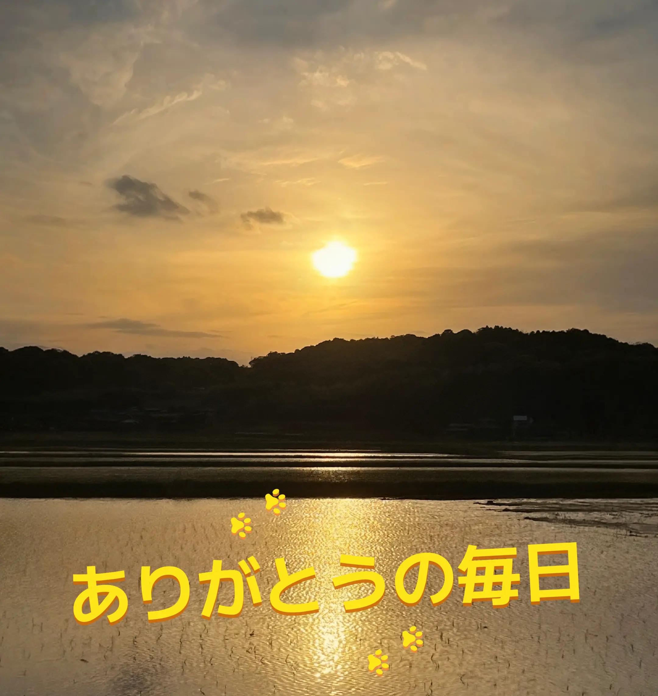 @TERU