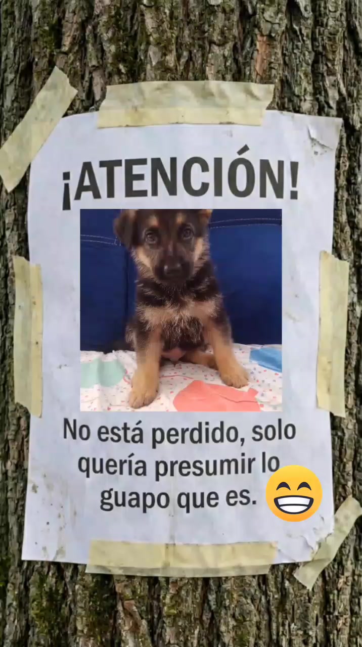 @preciosaa 💗