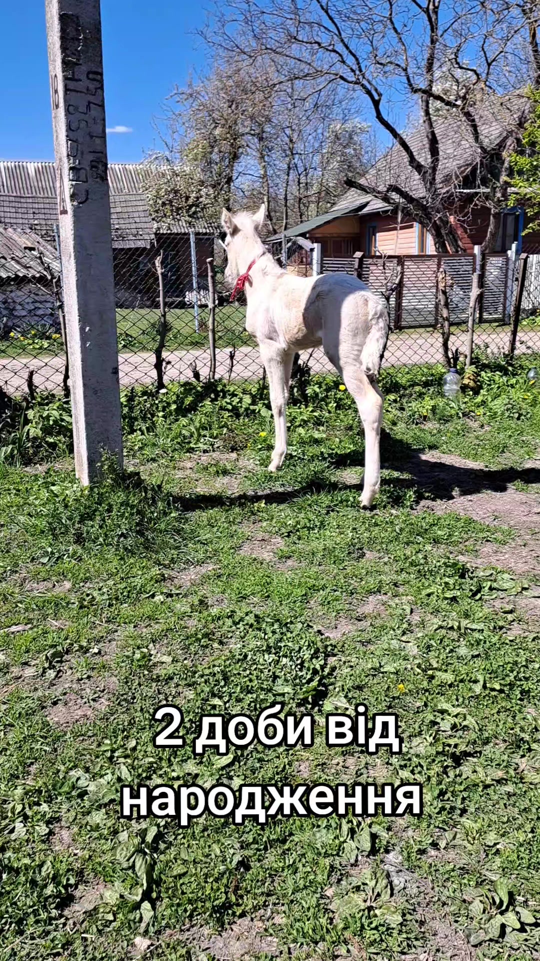 @Катерина Германюк