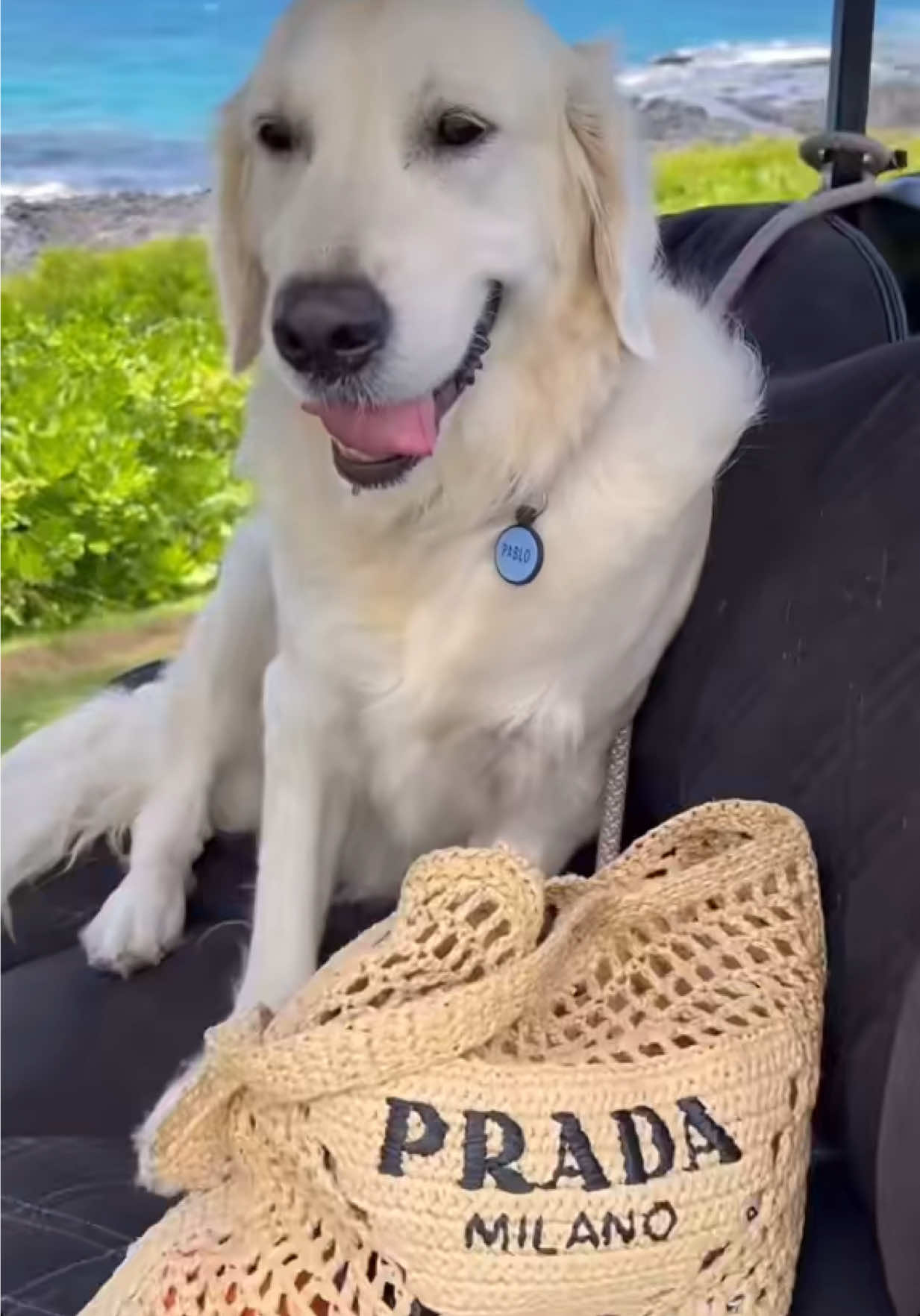 @girlswithdrive