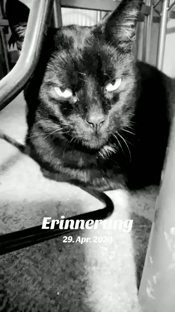 @😸 Alex 😸