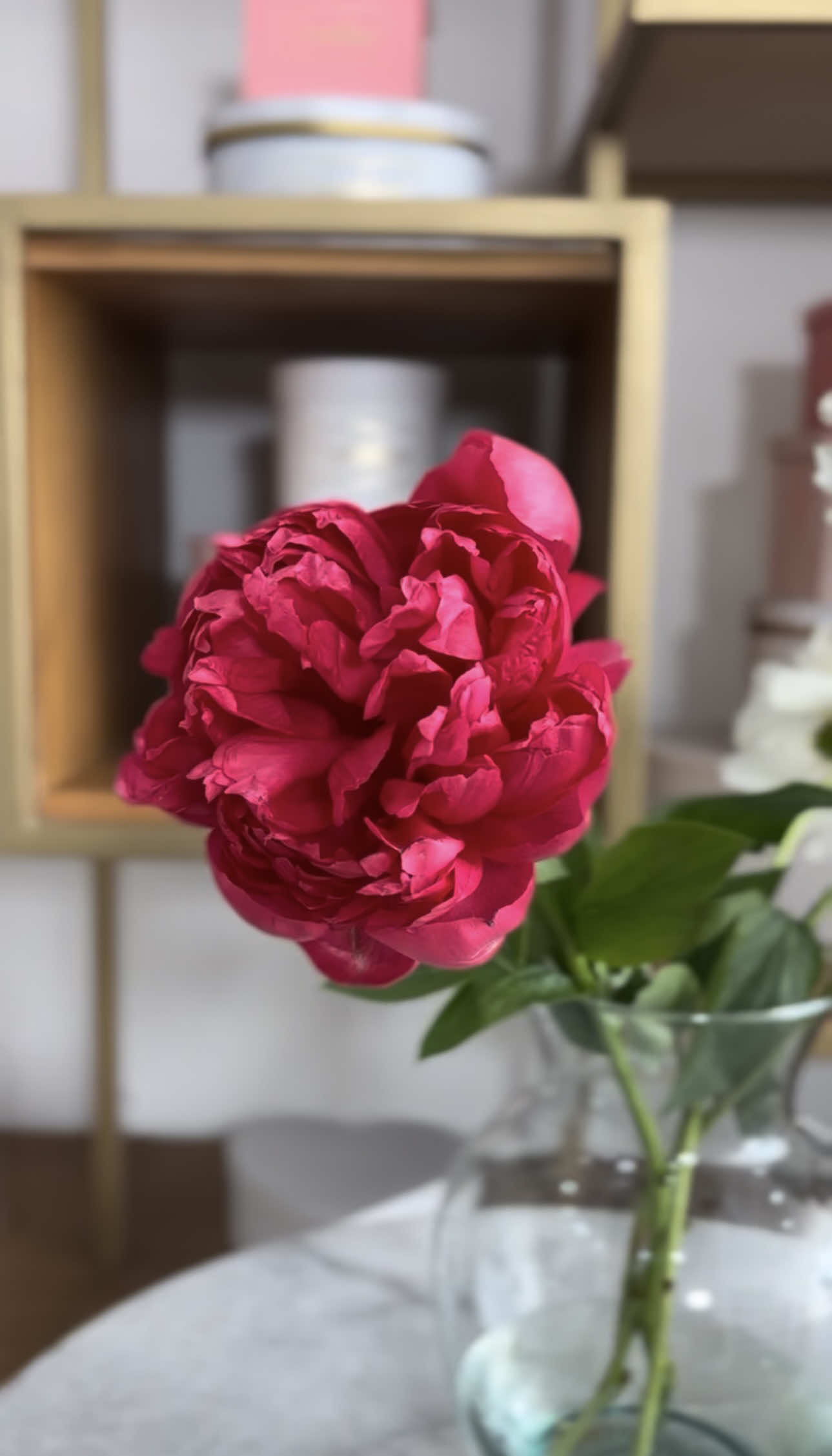 @Yaakun Flores