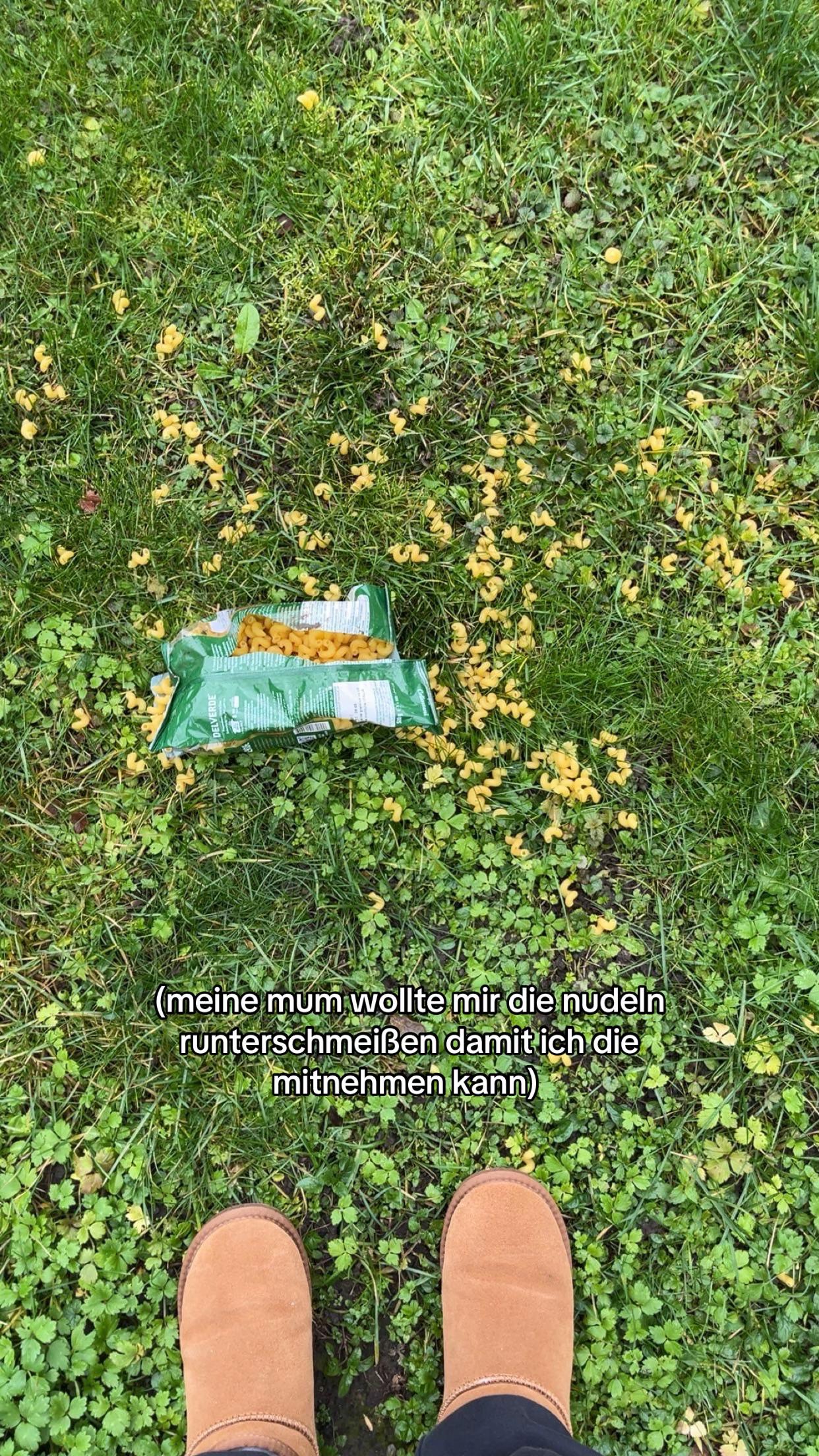@katharina 🌼