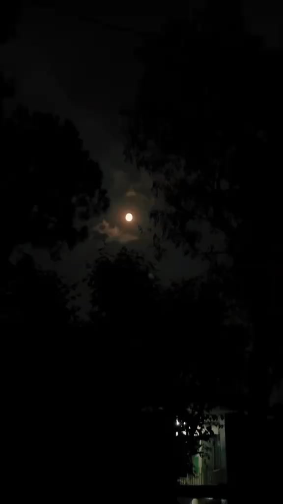 @Dark 🕶️🌑