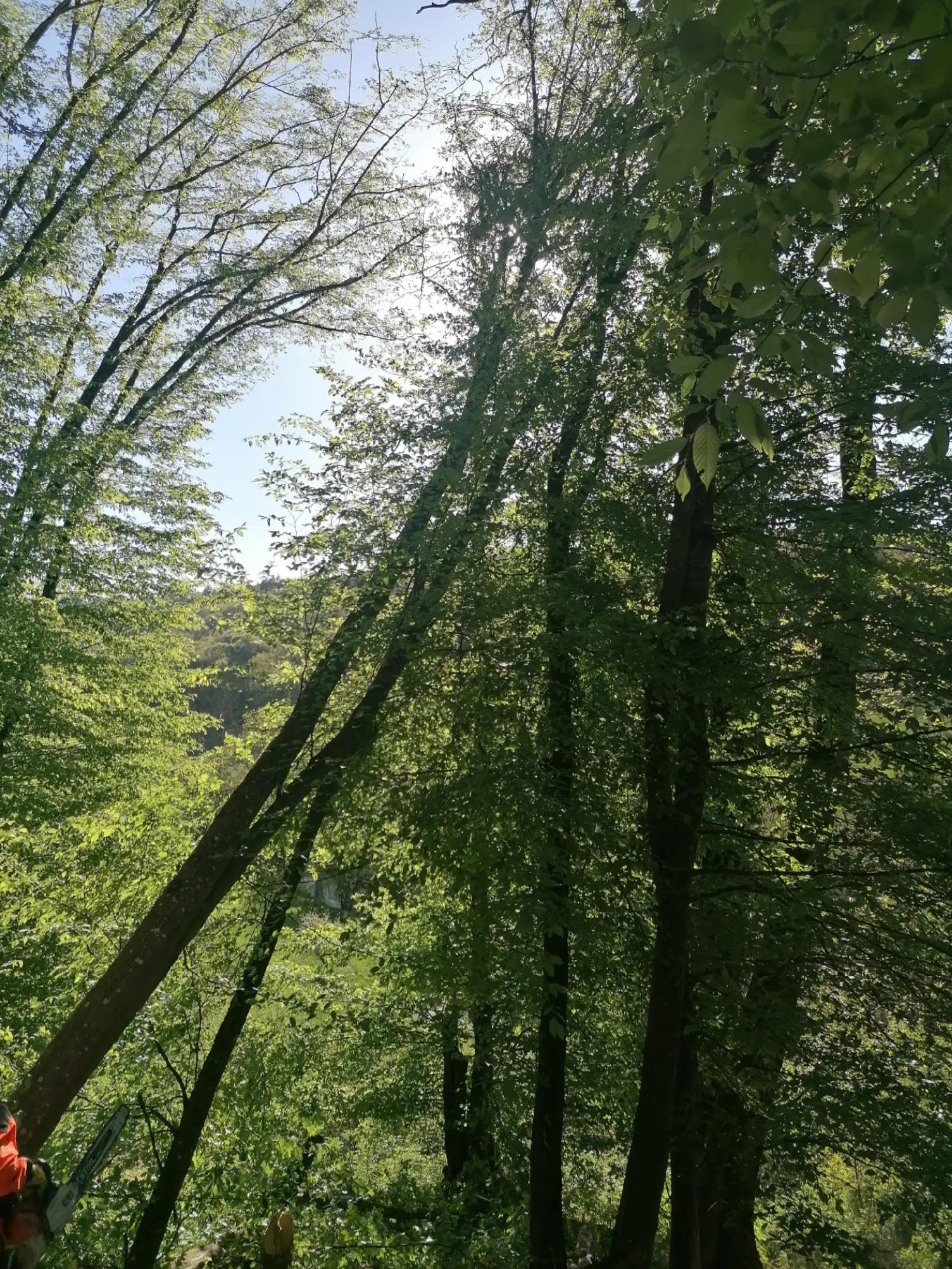 @landschaftpfleger
