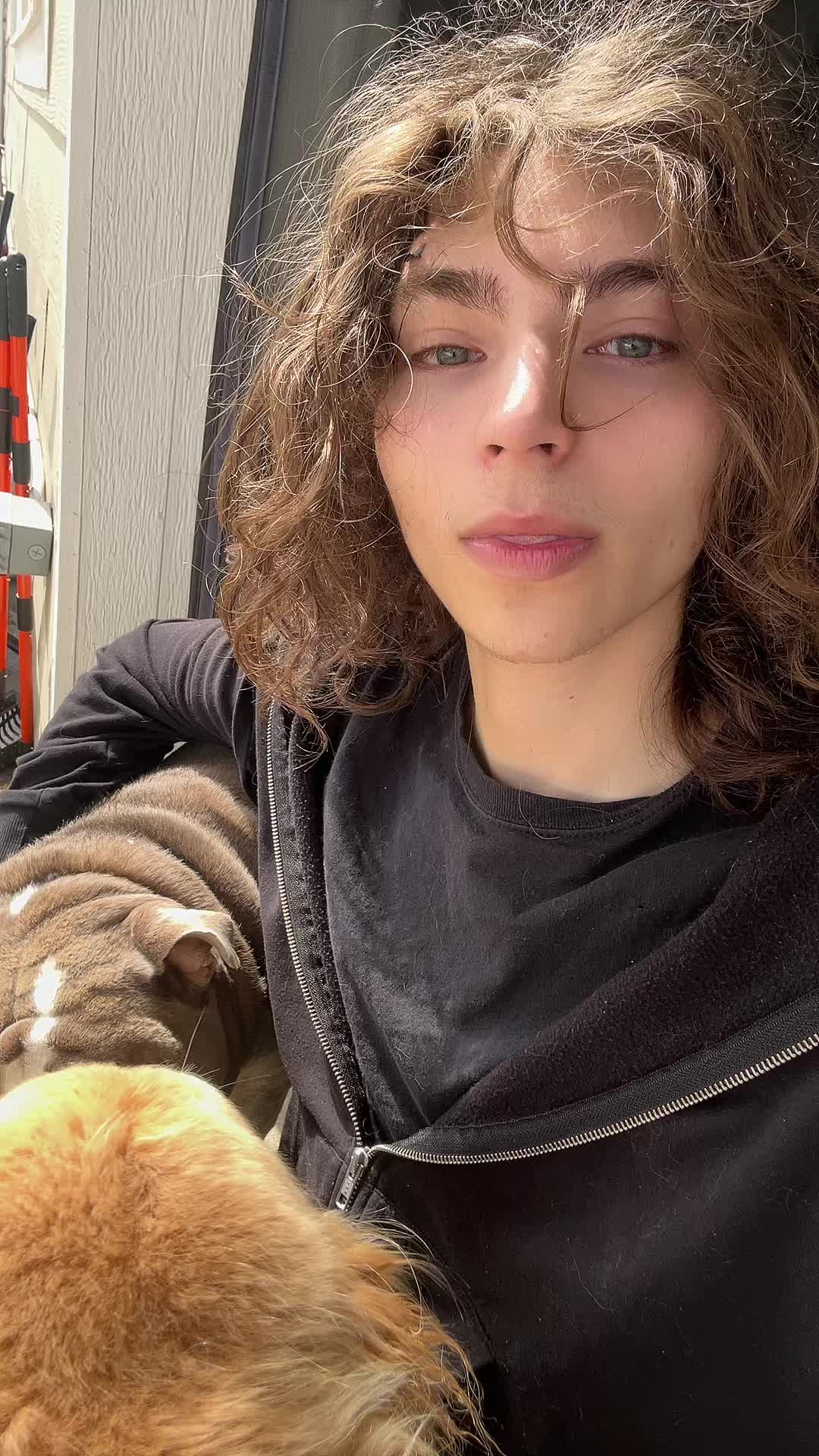 @bugiebear