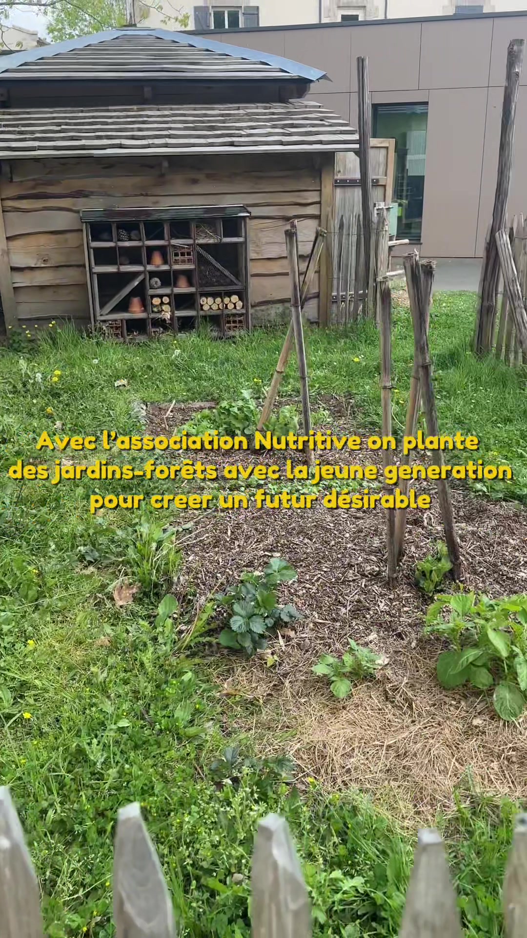 @benjamin.lotin