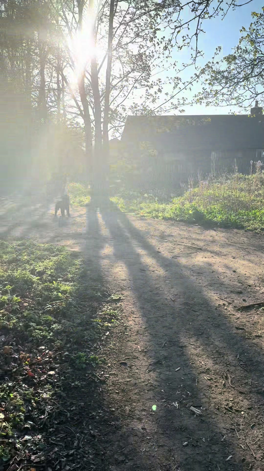 @PEPSI 🐾