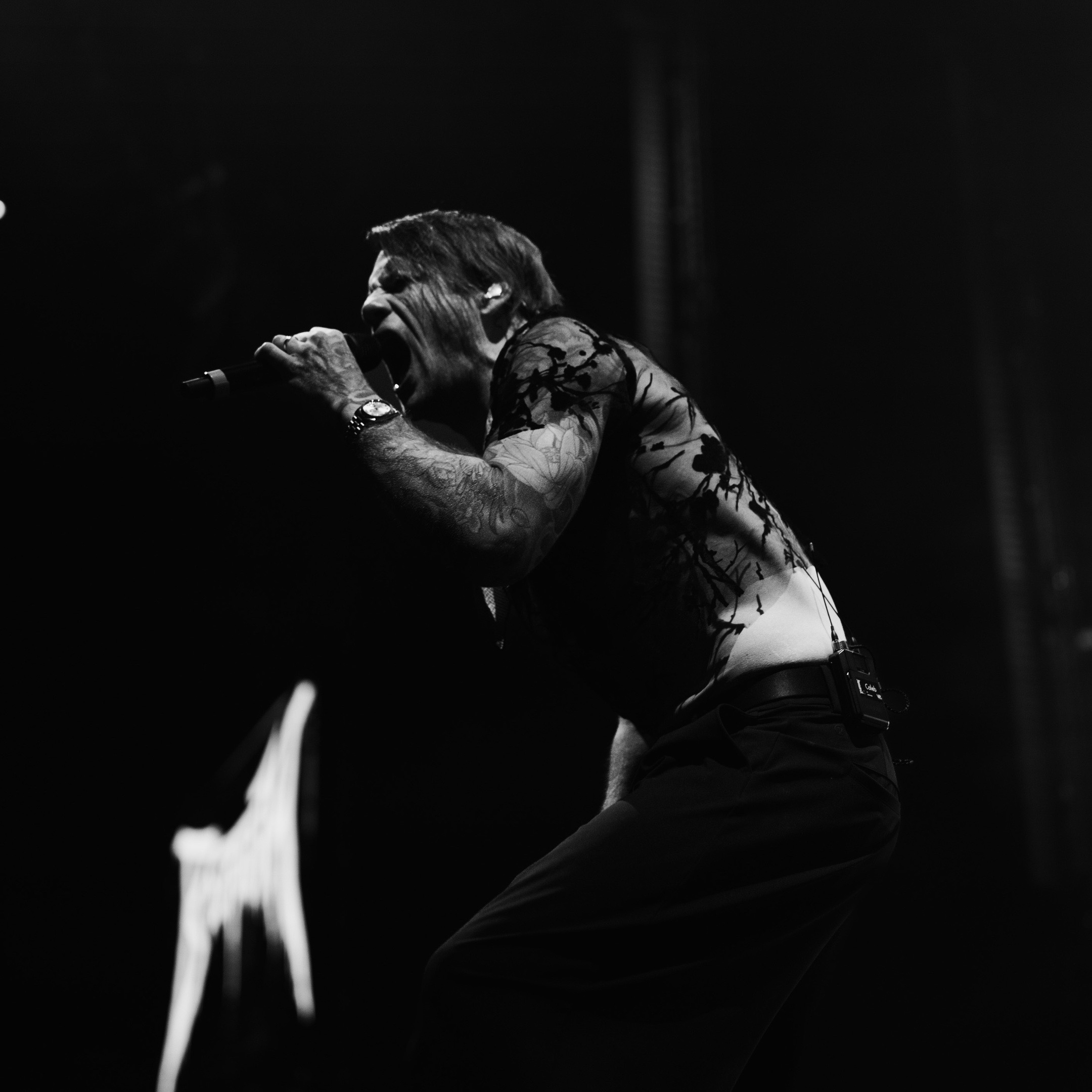@Beartooth
