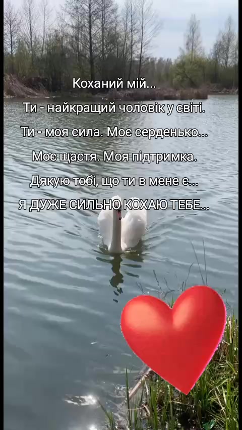 @дружина військового 💙💛