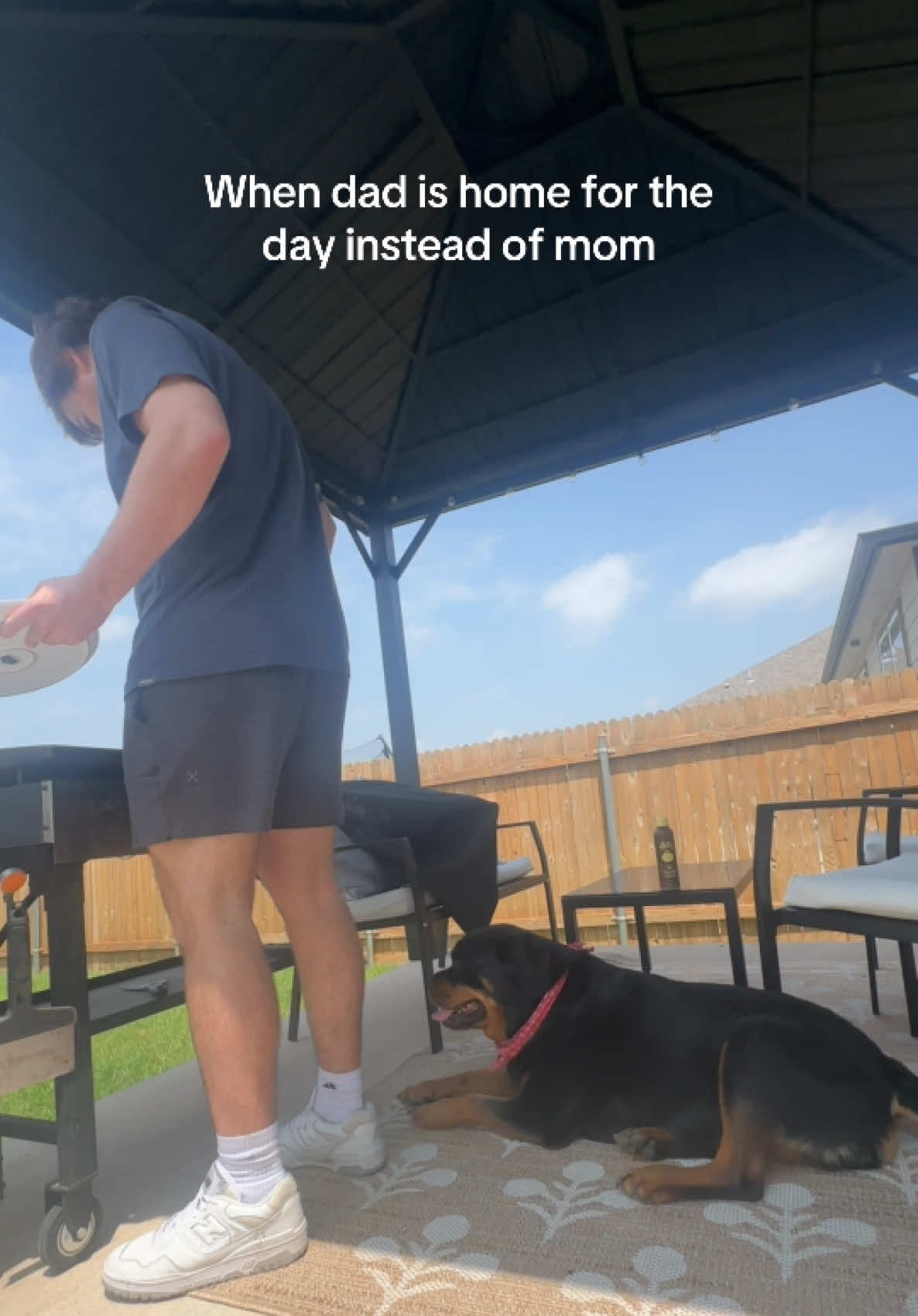 @Kasey the Rottie