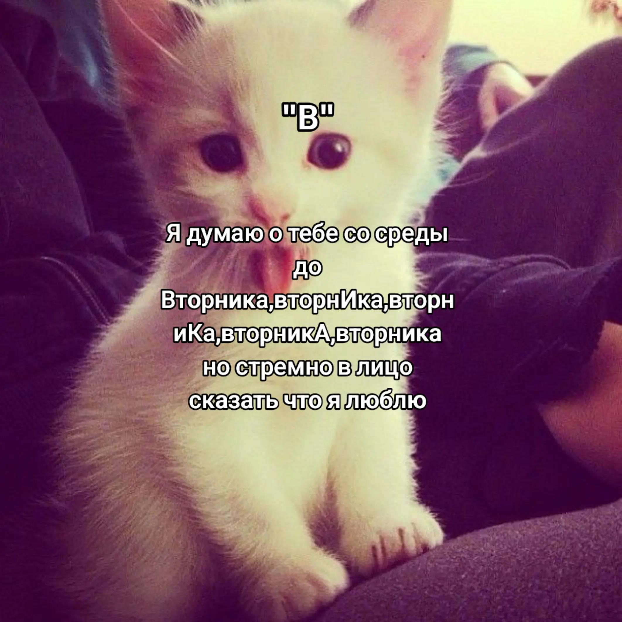 @Я ЛЮБЛЮ ВИКУ
