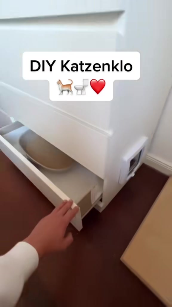 @CEO of Lifehacks 💡