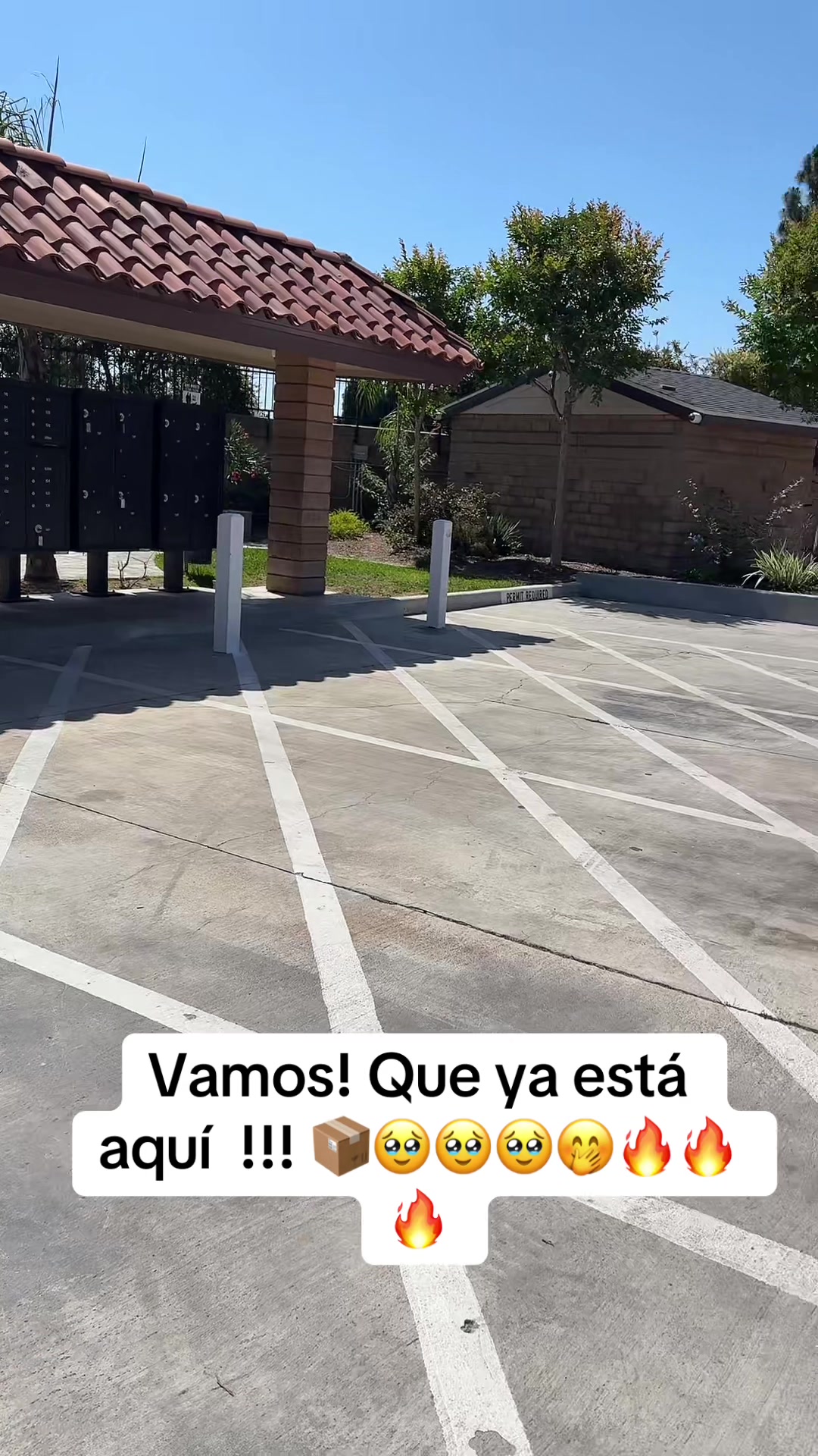 @ProfetaM7