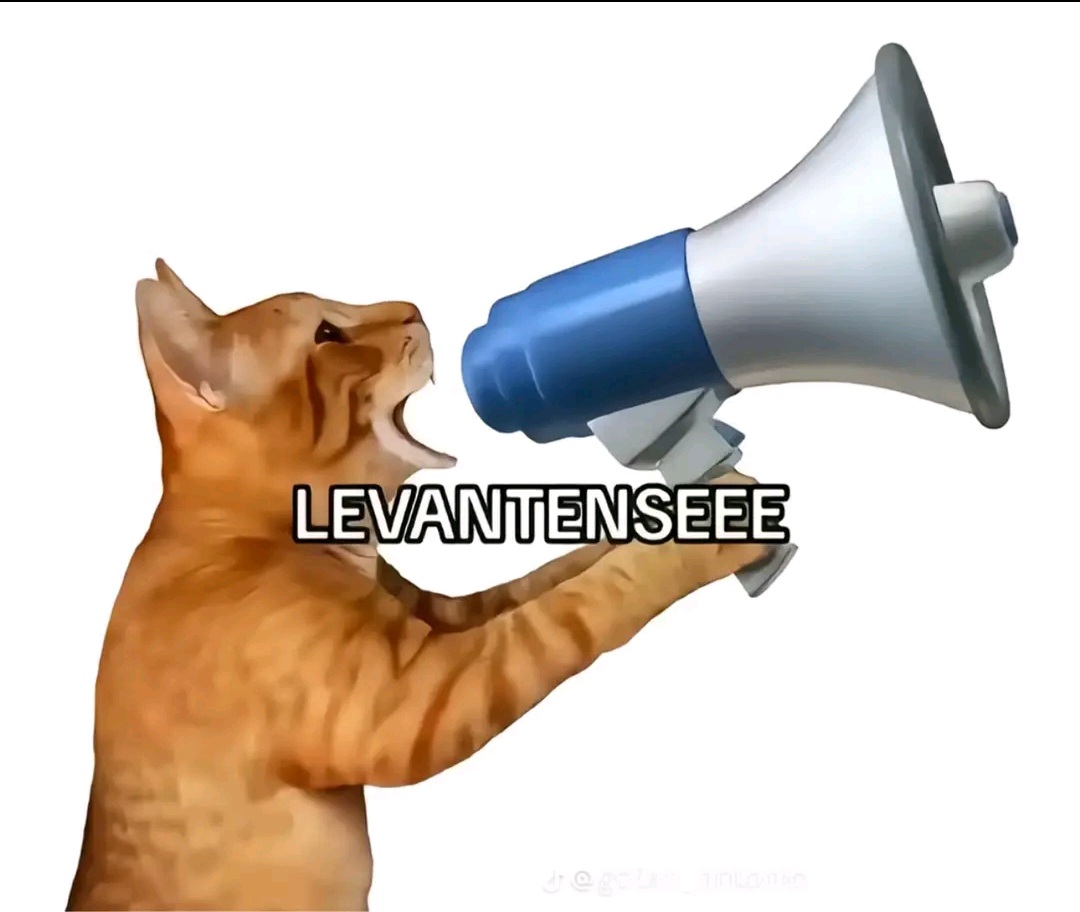 @Alfie Williams