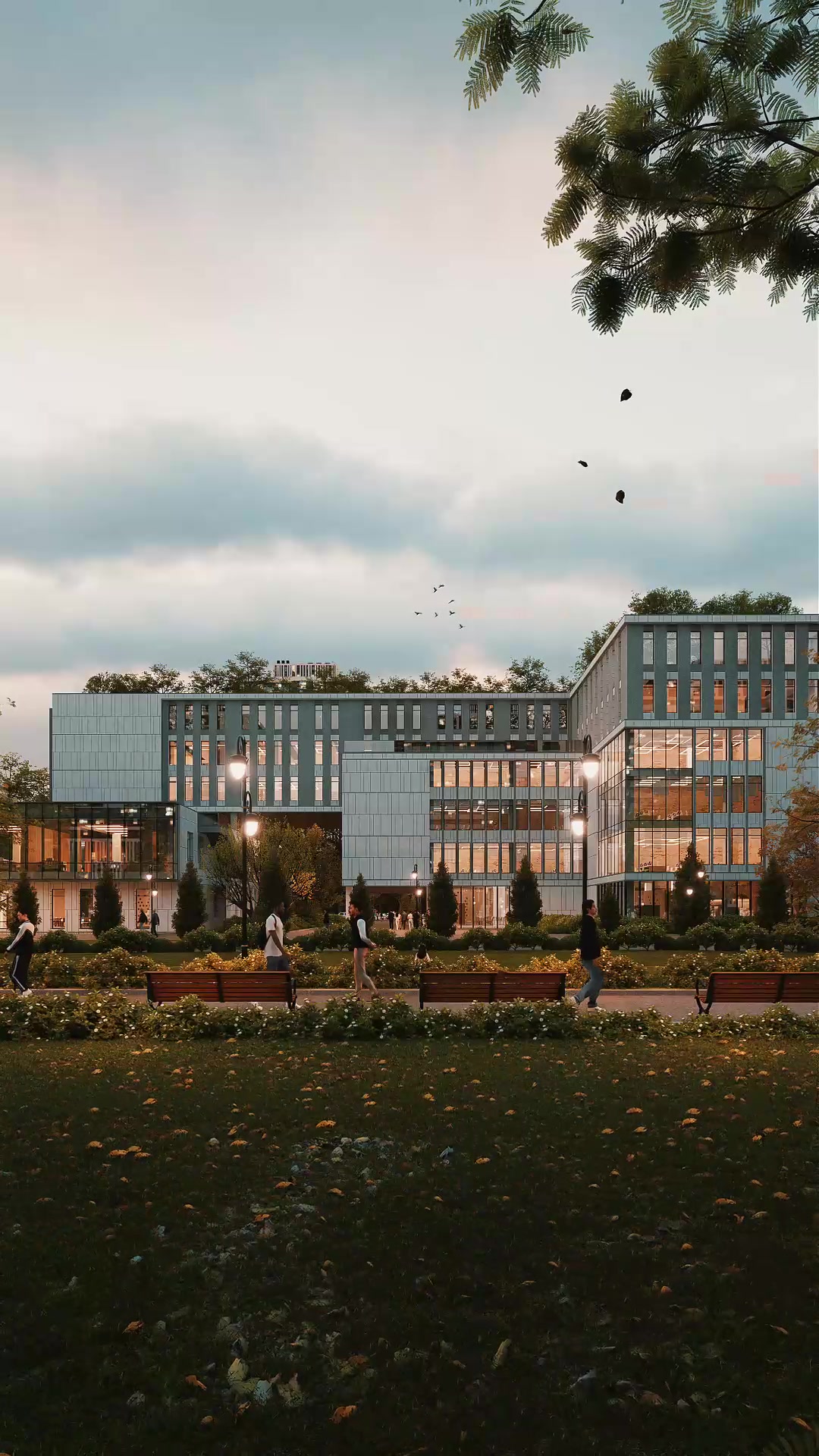 @Ant.archviz