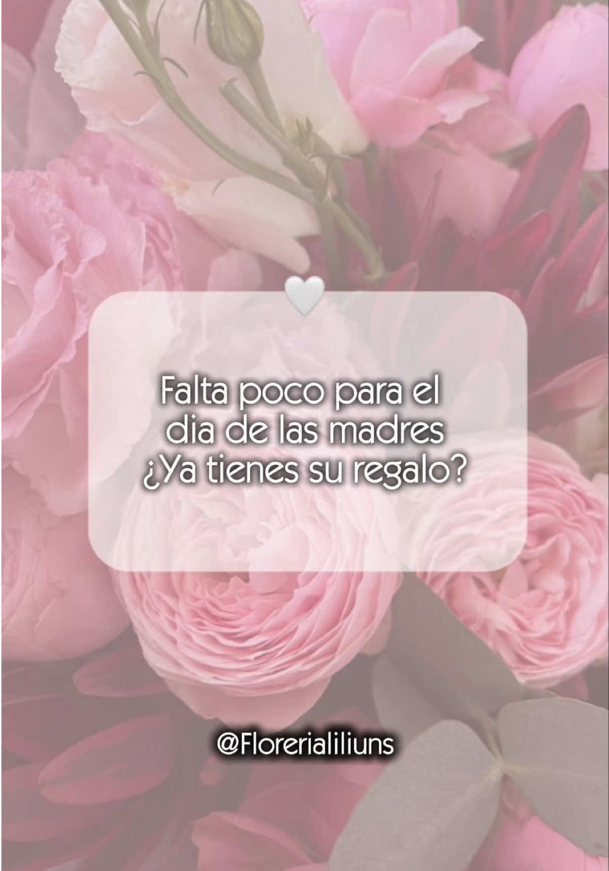 @floreria_liliunsiquique