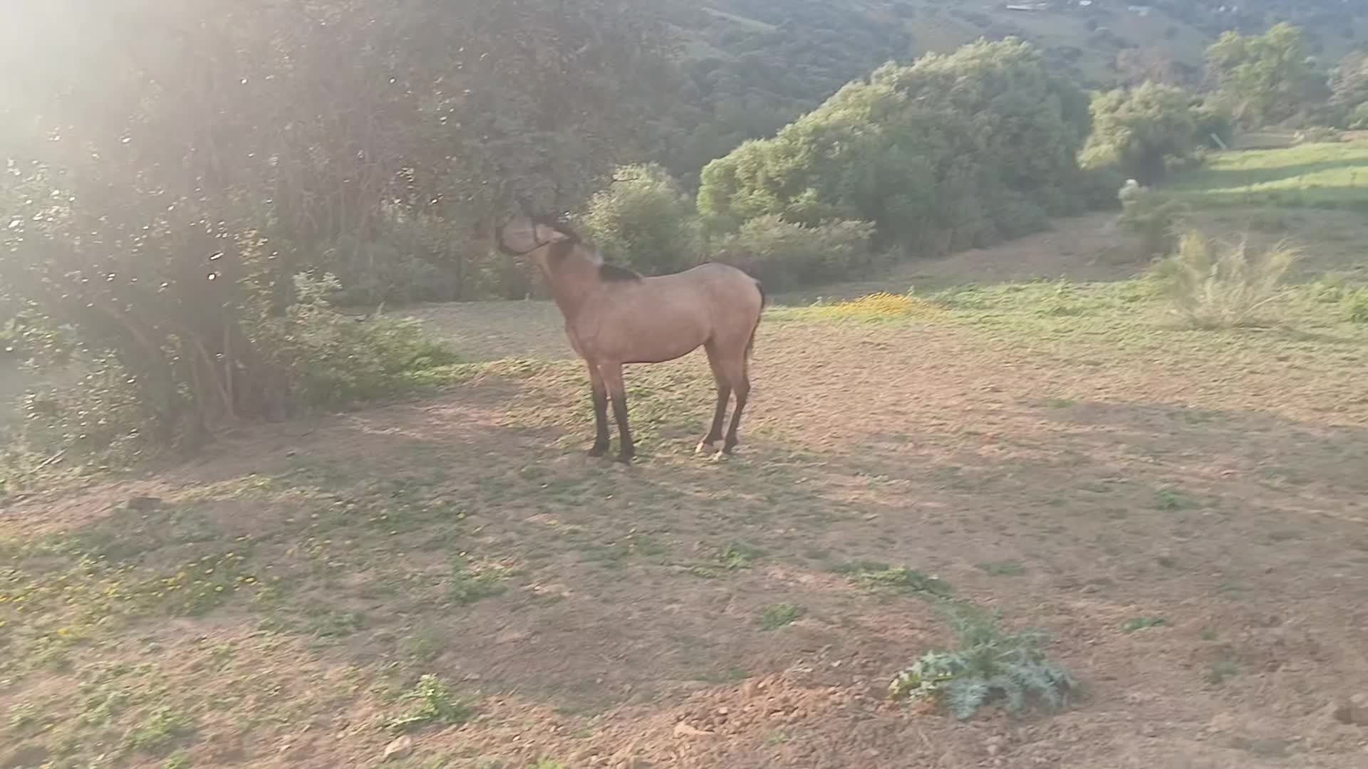 @🇪🇸Tequila-hottahü🇪🇺