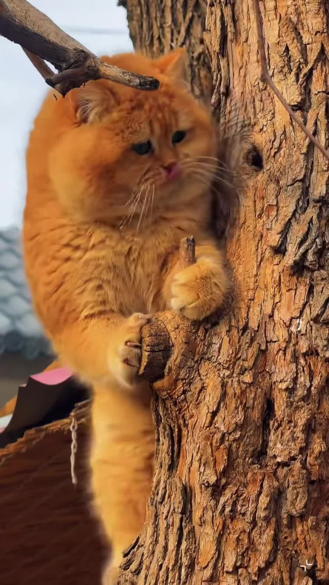 @My Daily Dose of Aww