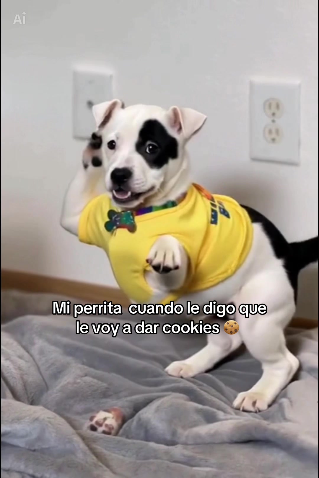 @Ɱᴿ᭄Ɱ&alpha;riita✿࿐